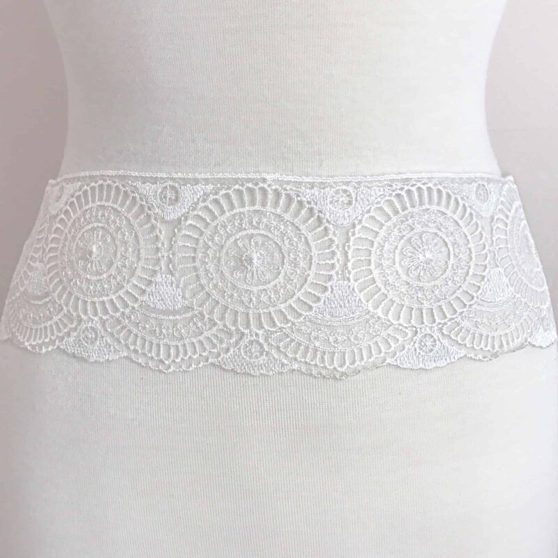 Embroidered Lace on Tulle Border Trim Embroidered Lace on Tulle Border Trim