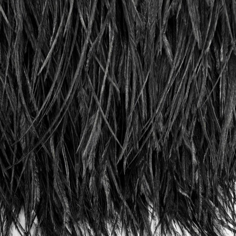 5-inch ostrich feathers, perfect for crafts, costumes, and fashion designs. Available at Shinetrim in Englewood, NJ.