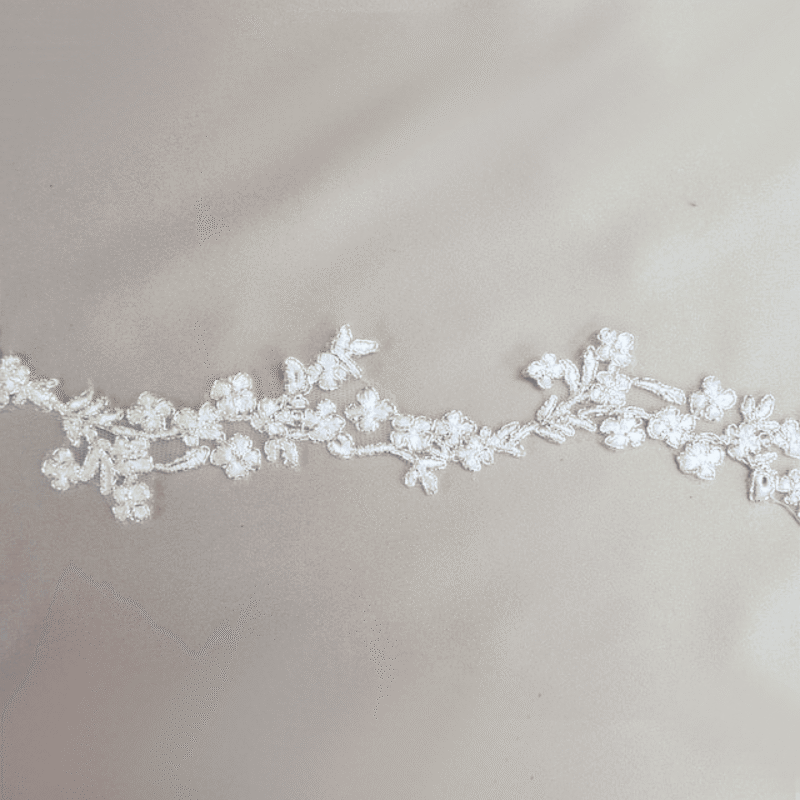 IMG_3526 Bianca Embroidered Lace Trim