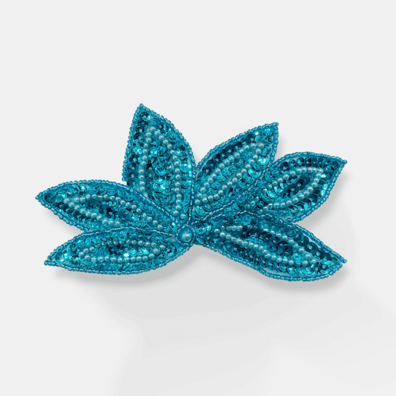 IMG_3190 Toni Sequin Applique