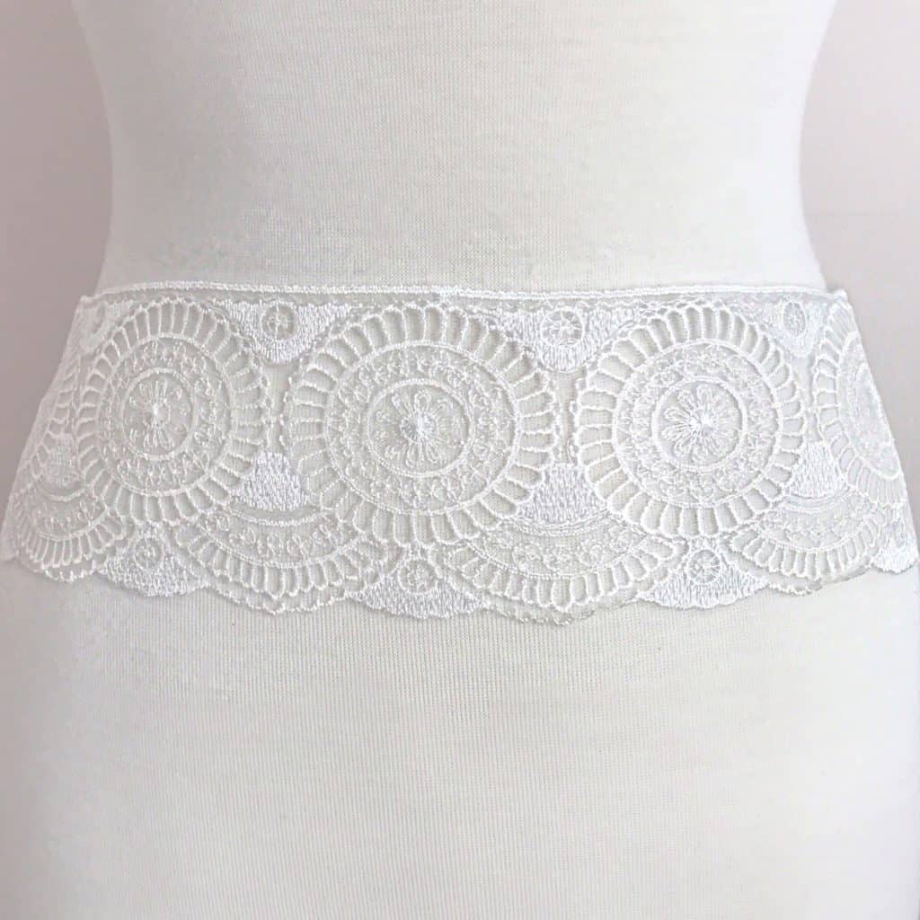 Embroidered Lace on Tulle Border Trim Embroidered Lace on Tulle Border Trim