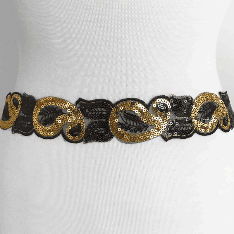 IMG_0469 Paisley Sequin Trim