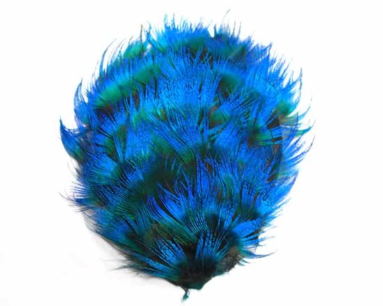 Blue Peacock Pad