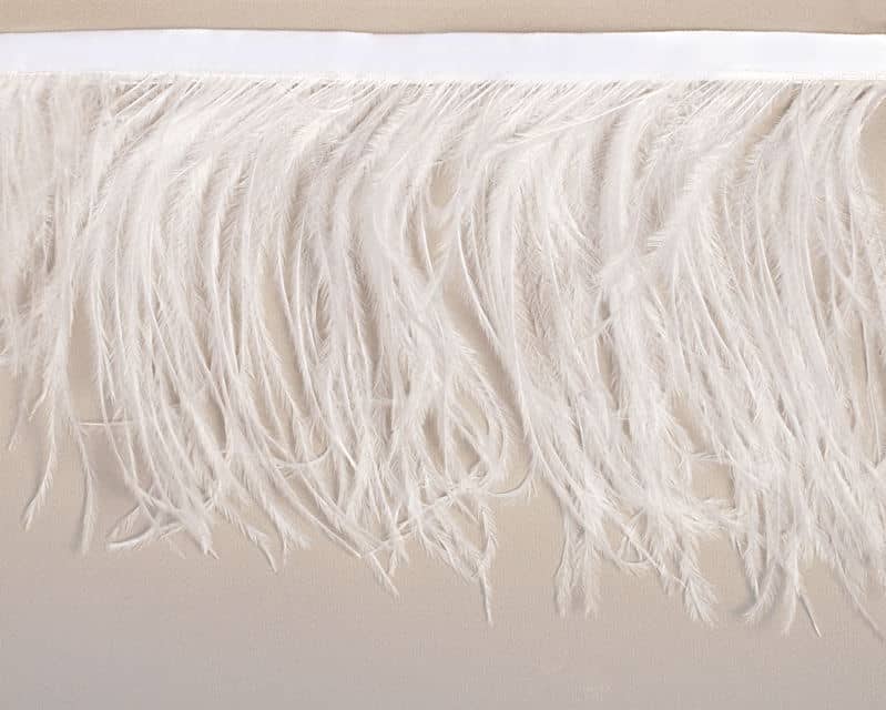 Ostrich Feather Trim