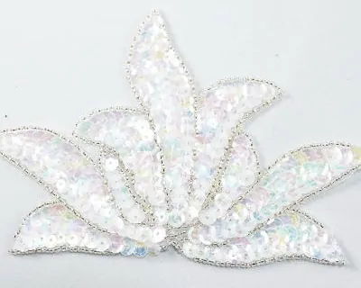 Iridescent White/Silver