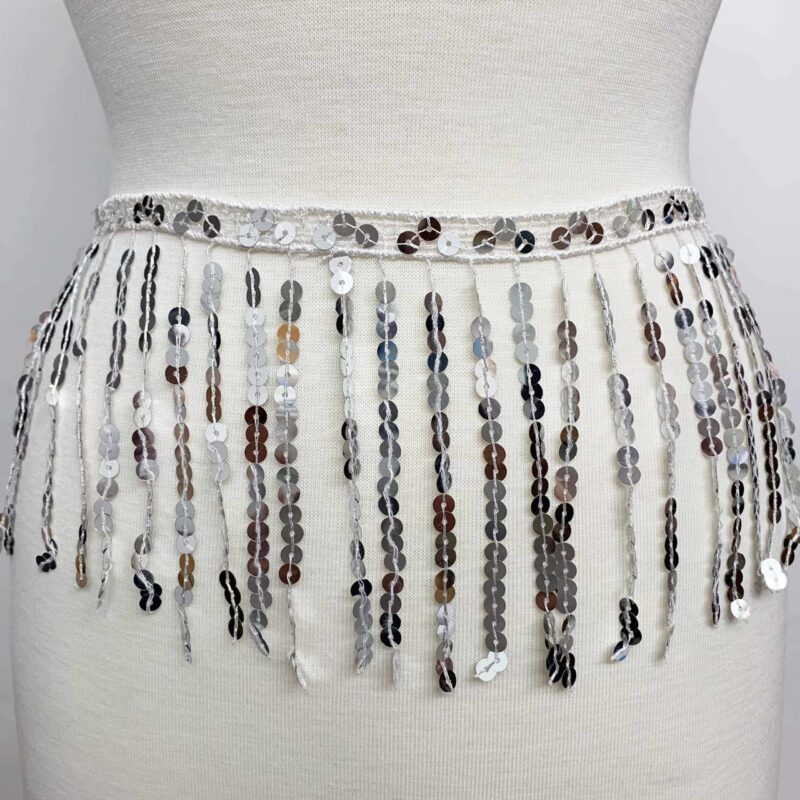 IMG_0676 6" Inch Sequin Fringe