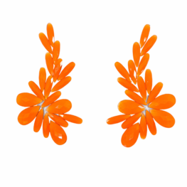 Zumba-Orange Pair