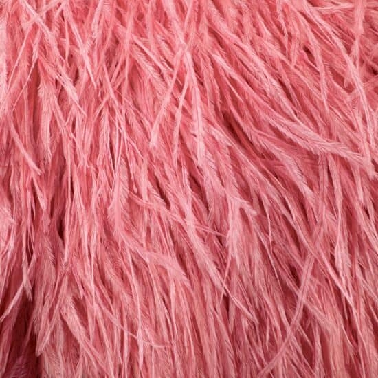 These 5-inch ostrich feathers are perfect for adding an elegant touch to crafts, costumes, and fashion designs. Available at Shinetrim in Englewood, NJ.