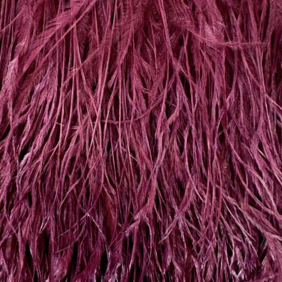 5-inch ostrich feathers, perfect for crafts, costumes, and fashion designs. Available at Shinetrim in Englewood, NJ.