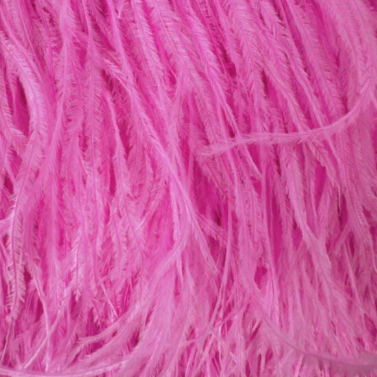 5-inch ostrich feathers, perfect for crafts, costumes, and fashion designs. Available at Shinetrim in Englewood, NJ.