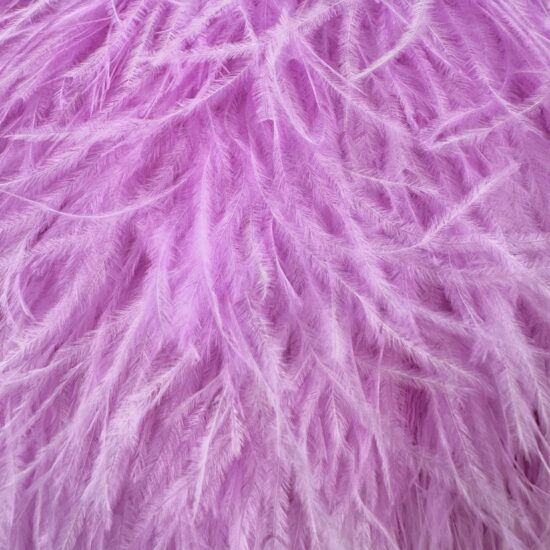 5-inch ostrich feathers, perfect for crafts, costumes, and fashion designs. Available at Shinetrim in Englewood, NJ.