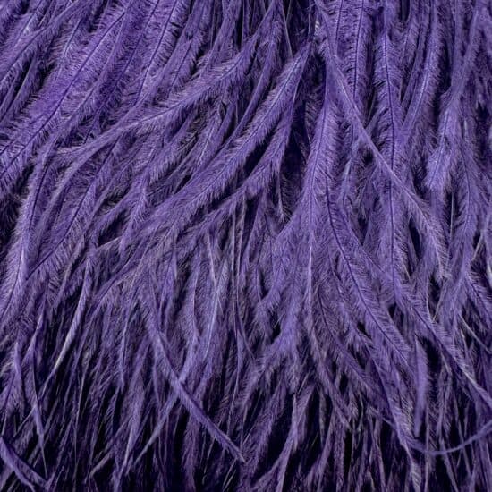 5-inch ostrich feathers, perfect for crafts, costumes, and fashion designs. Available at Shinetrim in Englewood, NJ.
