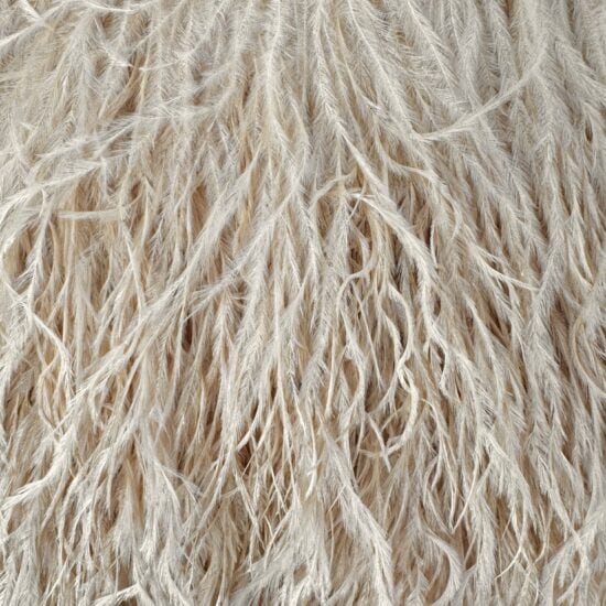 5-inch ostrich feathers, perfect for crafts, costumes, and fashion designs. Available at Shinetrim in Englewood, NJ