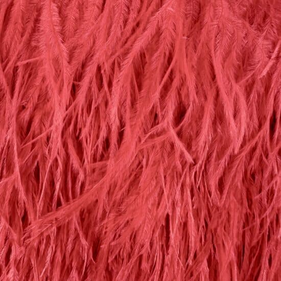 5-inch ostrich feathers, perfect for crafts, costumes, and fashion designs. Available at Shinetrim in Englewood, NJ.