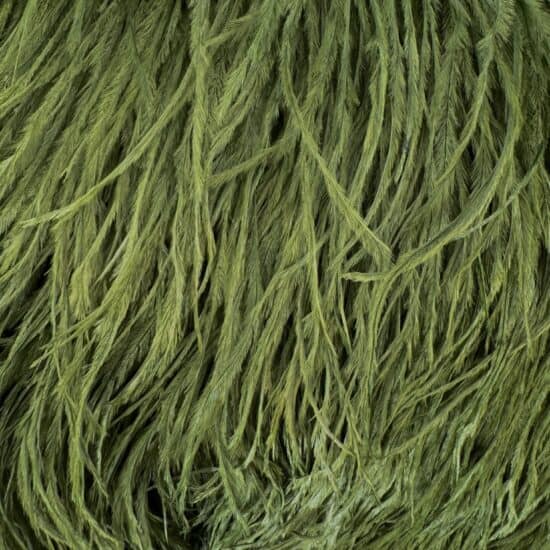 5-inch ostrich feathers, perfect for crafts, costumes, and fashion designs. Available at Shinetrim in Englewood, NJ.