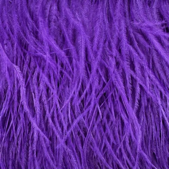 5-inch ostrich feathers, perfect for crafts, costumes, and fashion designs. Available at Shinetrim in Englewood, NJ