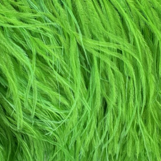 5-inch ostrich feathers, perfect for crafts, costumes, and fashion designs. Available at Shinetrim in Englewood, NJ.
