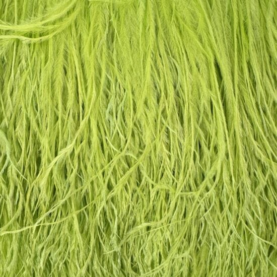 5-inch ostrich feathers, perfect for crafts, costumes, and fashion designs. Available at Shinetrim in Englewood, NJ.