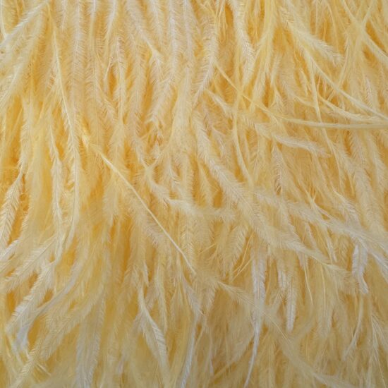5-inch ostrich feathers, perfect for crafts, costumes, and fashion designs. Available at Shinetrim in Englewood, NJ