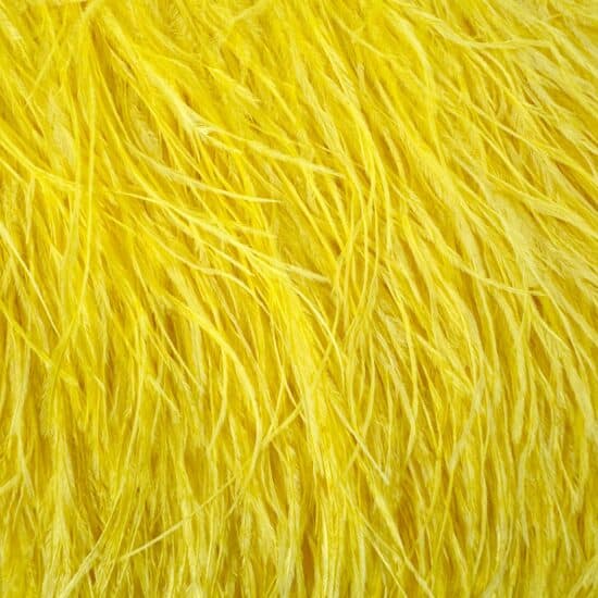5-inch ostrich feathers, perfect for crafts, costumes, and fashion designs. Available at Shinetrim in Englewood, NJ.