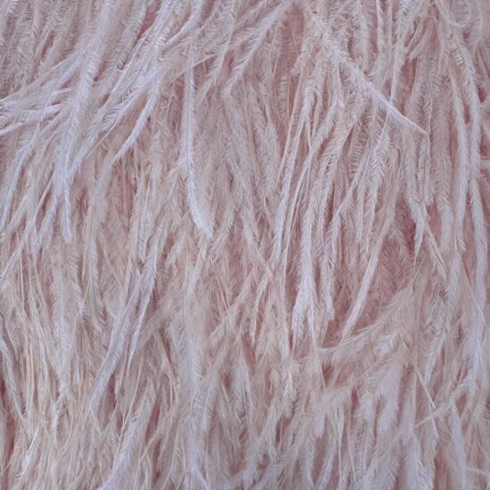 5-inch ostrich feathers, perfect for crafts, costumes, and fashion designs. Available at Shinetrim in Englewood, NJ.