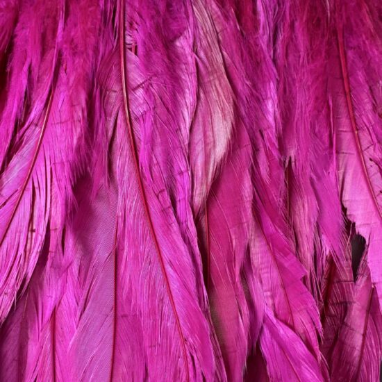 thumbnail interactive-video image 1 of Gorgeous 2 Meters Aqua Blue Rooster Feather Trim – Perfect For DIY Crafts, Costumes, And Home Decor 1 of 4