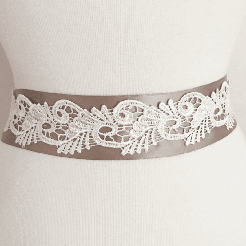 IMG_3523 Fawn Guipure Lace Trim